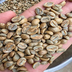 wholesale Arabica coffee beans with aroma