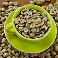 wholesale Best quality green coffee beans santos ny2/3 SC.14/16 Arabica