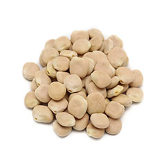 wholesale Lupin beans with superior quality and hot sales for wholesale