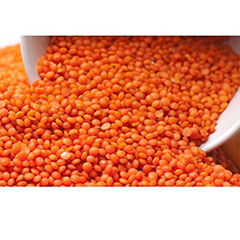 wholesale The best price of Turkish Split Red Lentil