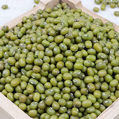 wholesale High quality green mung bean and in different sizes