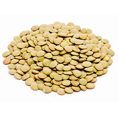 wholesale Kazakhstan's natural lentil beans