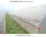گلخانه تونل بزرگ PEP پلاستیکی برای کشاورزی شرکت Manufacturer,Trading - Image 2