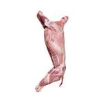 گوشت گرم و تازه گوسفند - Image 3