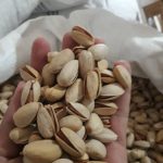 پسته احمد آقایی - Image 3
