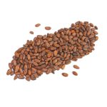 نوک کاکائو شکلاتی تخمیر شده آنتی اکسیدانی با کیفیت - Image 2