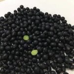 سویای سیاه بدون GMO محصول جدید 2020 - Image 2