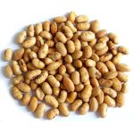 دانه ی سویا برشته شده - Image 2