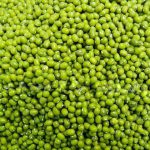 لوبیا سبز - Image 2