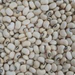 لوبیا چشم بلبلی Sortex، تولیدشده در برزیل - Image 2