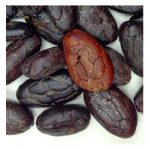 دانه کاکائو Ariba، خشک‌شده به روش تخمیری، بسته‌بندی 25 کیلوگرمی - Image 3