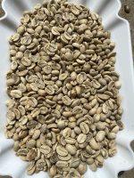 دانه قهوه روبوستا ( Robusta ) و عربیکا، محصول ویتنام - Image 3