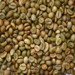 دانه قهوه سبز روبوستا (ROBUSTA )، محصول ویتنام،  دو سال ماندگاری - Image 3