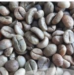 دانه قهوه روبوستا ( Robusta )، محصول ویتنام، بسته‌بندی‌‌‌های 60 کیلوگرمی برای اسپرسو - Image 3