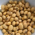 دانه سویا غیر تراریخته، محصول آفریقای جنوبی، بستهبندی 25 کیلوگرمی - Image 2