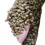دانه قهوه روبوستا ( Robusta ) - Image 3