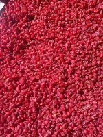 زرشک پفکی با بسته بندی 10 کیلو گرمی - Image 3