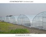 گلخانه تونل بزرگ PEP پلاستیکی برای کشاورزی شرکت Manufacturer,Trading