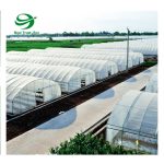 تونل رشد هیدروپونیک همراه با سیستم آبیاری  شرکتQingzhou New Trust-Sun