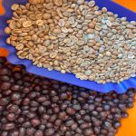 دانه های قهوه عربیکا بوداده دارای رایحه
