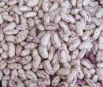 لوبیا چیتی روشن خشک شده