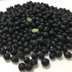 سویای سیاه بدون GMO محصول جدید 2020