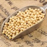 دانه ی سویا با کیفیت بالا با ابعاد 6.5 تا 8.5 میلی متر