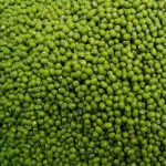 لوبیا سبز با اندازه 0.2 میلی متر