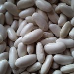 لوبیا سفید خشک با کیفیت کشاورزی