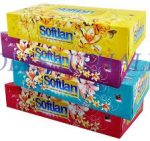 دستمال كاغذي 300 برگ طرح باغ بهشت سافتلن - Image 2