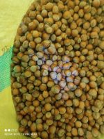فندق خام اشکورات با بسته بندی کیسه ای