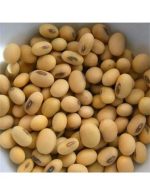 دانه سویا غیر تراریخته، کاملا طبیعی