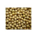دانه سویا غیر تراریخته، کاملا طبیعی - Image 2