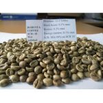 دانه قهوه سبز روبوستا (ROBUSTA )، محصول ویتنام،  دو سال ماندگاری