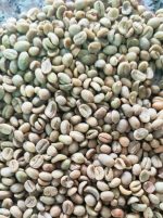 دانه قهوه روبوستا ( Robusta )، محصول ویتنام، بسته‌بندی‌‌‌های 60 کیلوگرمی برای اسپرسو
