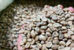 دانه قهوه روبوستا ( Robusta )، محصول ویتنام، بسته‌بندی‌‌‌های 60 کیلوگرمی برای اسپرسو - Image 2