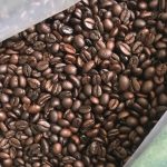 دانه قهوه روبوستا Robusta Coffee محصول انگلستان