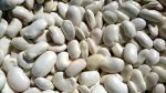 لوبیا سفید، برند Sun Food Egypt، بسته‌بندی 10 کیلوگرمی - Image 2