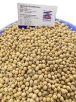 دانه سویا غیر تراریخته، دارای پروتئین بالا، محصول کانادا