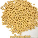 دانه سویا غیر تراریخته، دارای پروتئین بالا، محصول کانادا - Image 2