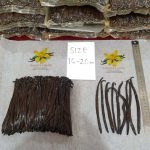 لوبیا وانیلی Planifolia، محصول اندونزی