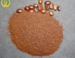 دانه قهوه روبوستا ( Robusta ) بو داده