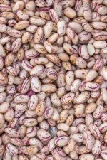 کنسرو لوبیا کرن بری، سرشار از آنتی اکسیدان، قوطی 2550 گرم، محصول ایتالیا
