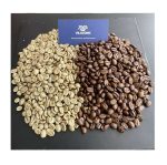 دانه قهوه روبوستا ( Robusta )