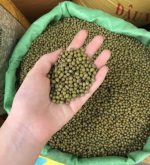 ماش سبز، محصول ویتنام