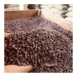 دانه کاکائو، محصول پرو، خشک‌شده به روش تخمیری