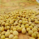 دانه سویا، دارای پروتئین بالا، محصول چین، بسته‌بندی 25 کیلوگرمی - Image 2
