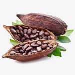 دانه کاکائو خشک‌شده، محصول آفریقای جنوبی، سه سال ماندگاری - Image 2