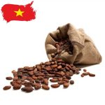 دانه کاکائو، محصول ویتنام