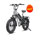دوچرخه های برقی 48 ولت باتری لیتیومی صفحه نمایش رنگی LCD 7 سرعت EBike